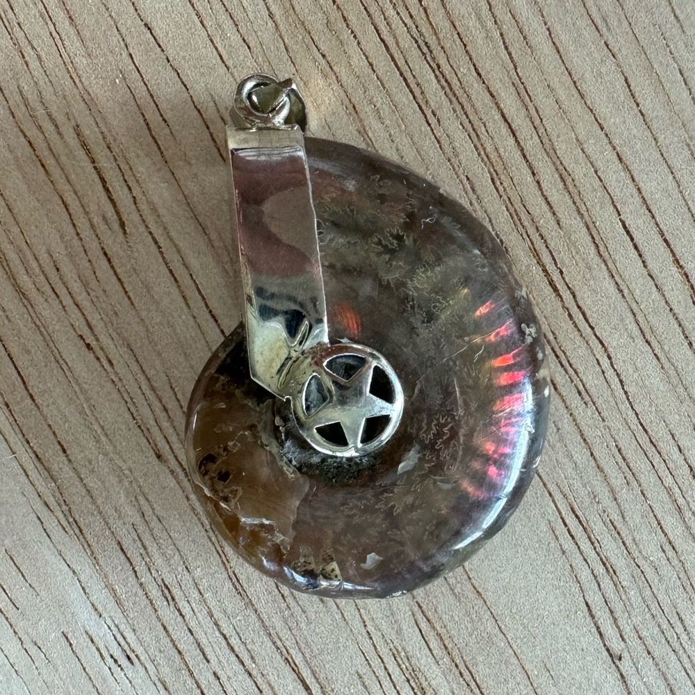 Polished ammonite fossil sterling silver star pendant